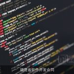 福建省软件开发合同