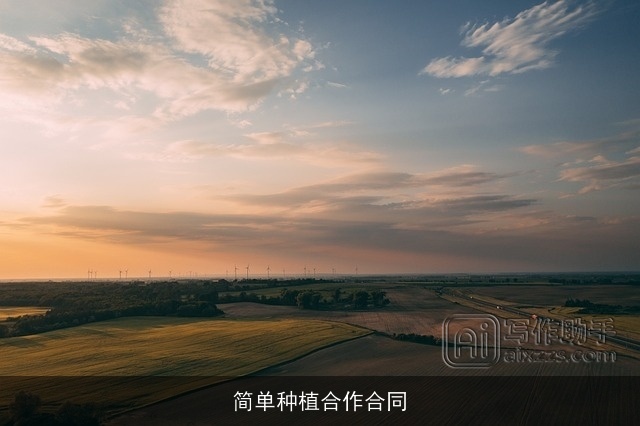 简单种植合作合同