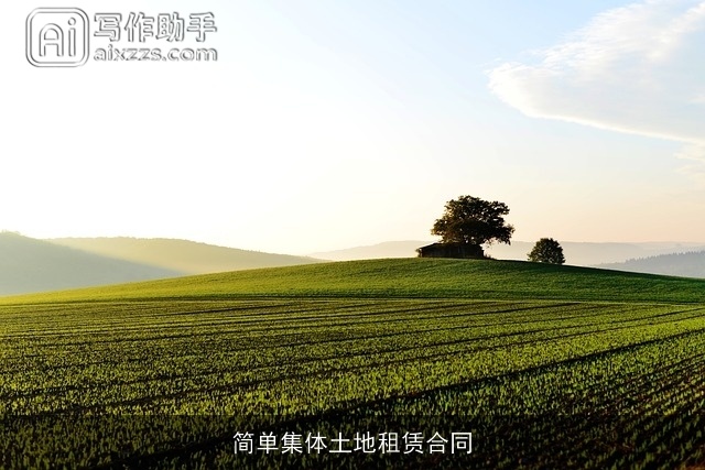 简单集体土地租赁合同