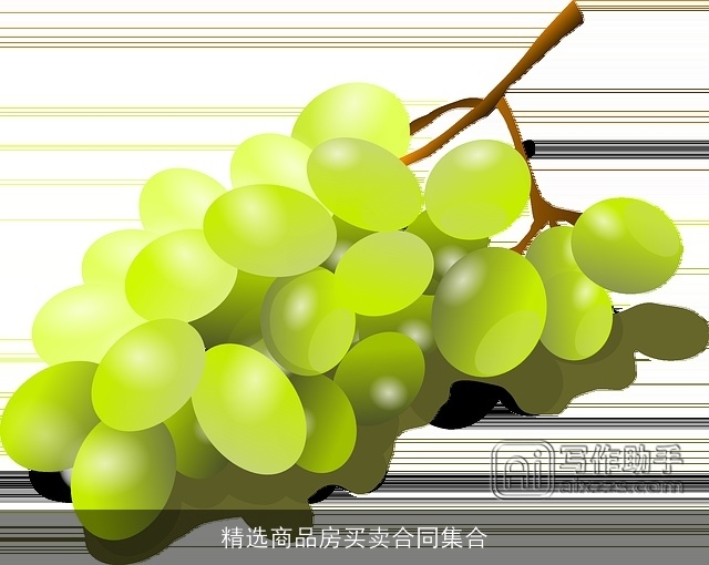 精选商品房买卖合同集合