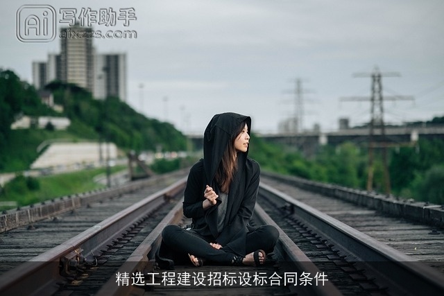 精选工程建设招标设标合同条件