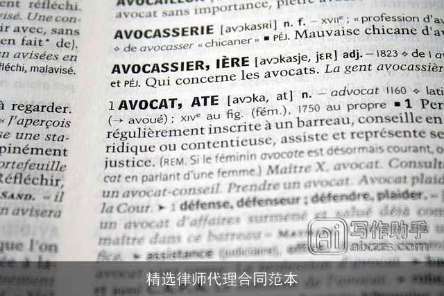 精选律师代理合同范本