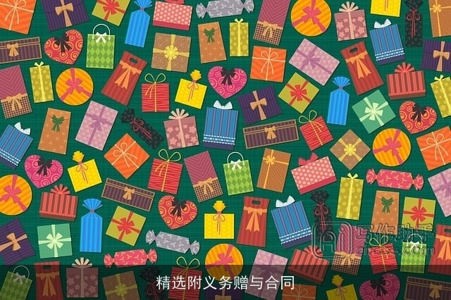 精选附义务赠与合同