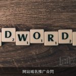网站域名推广合同