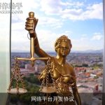 网络平台开发协议