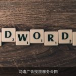 网络广告投放服务合同