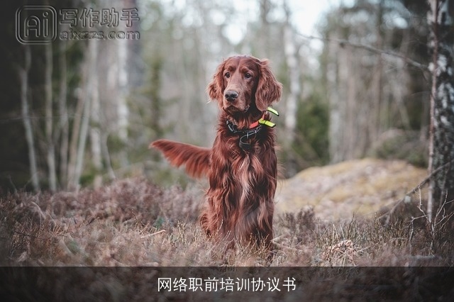 网络职前培训协议书