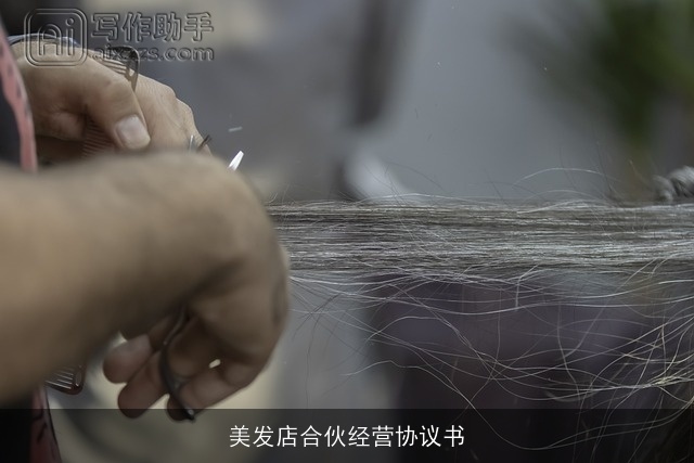 美发店合伙经营协议书
