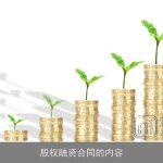 股权融资合同的内容