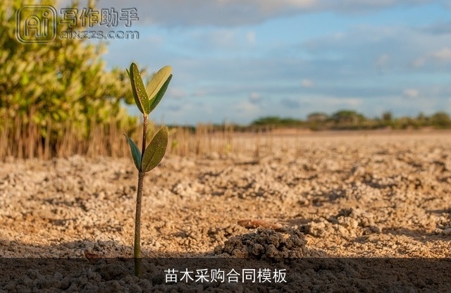 苗木采购合同模板