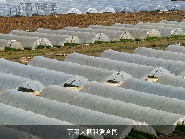 蔬菜大棚租赁合同