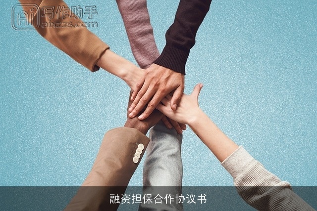 融资担保合作协议书