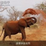 装修协议合同
