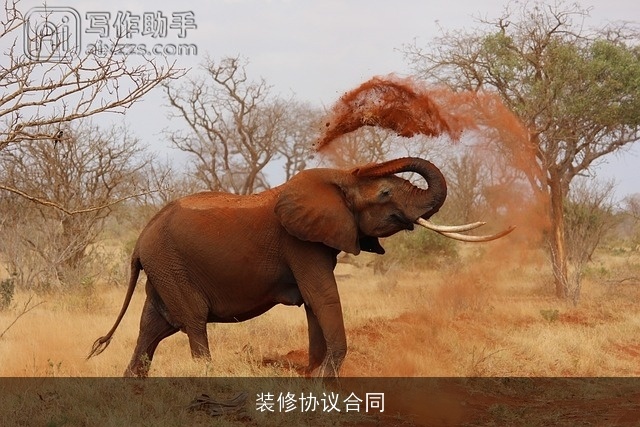 装修协议合同