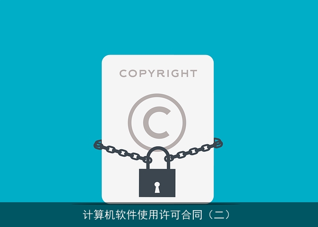 计算机软件使用许可合同（二）