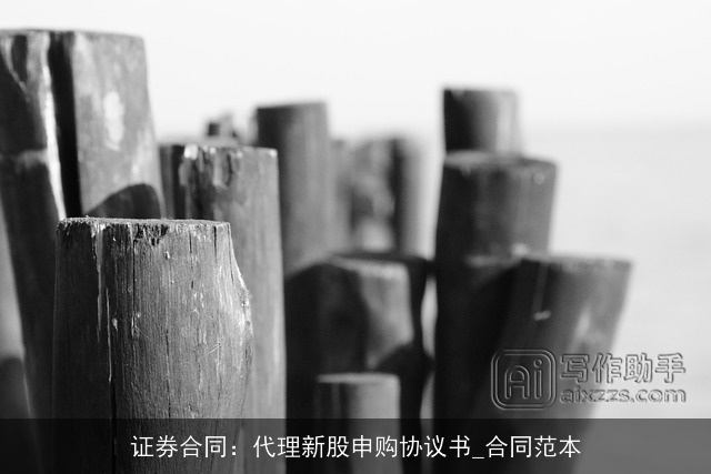 证券合同：代理新股申购协议书_合同范本