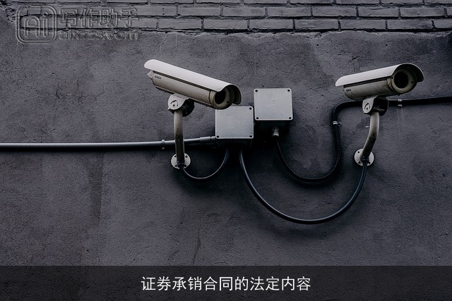 证券承销合同的法定内容