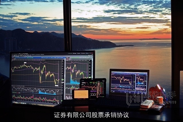 证券有限公司股票承销协议