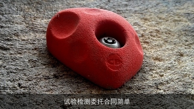 试验检测委托合同简单