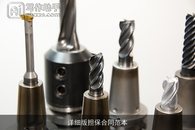 详细版担保合同范本