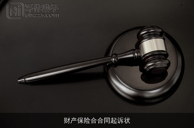 财产保险合合同起诉状