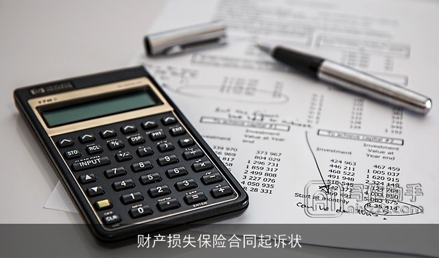 财产损失保险合同起诉状