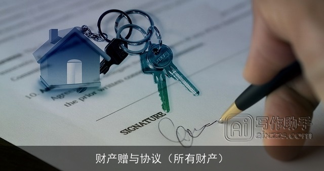 财产赠与协议（所有财产）