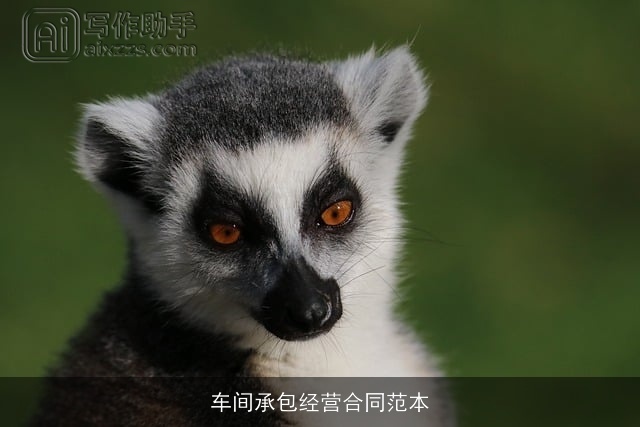 车间承包经营合同范本