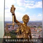 配股法律业务委托合同_合同范本