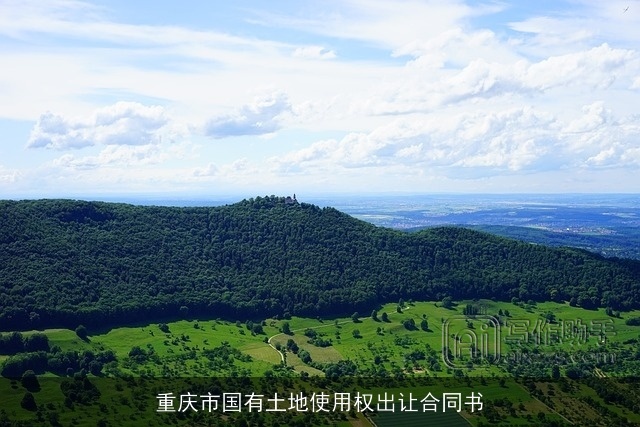 重庆市国有土地使用权出让合同书