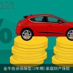 金牛投资保障型(3年期)家庭财产保险
