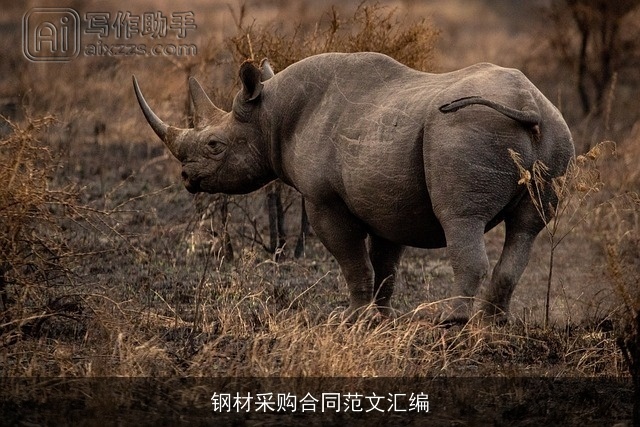 钢材采购合同范文汇编