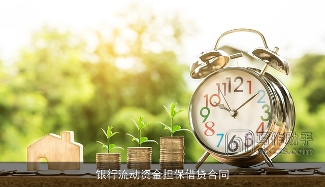 银行流动资金担保借贷合同