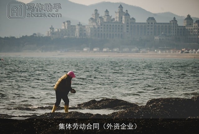 集体劳动合同（外资企业）