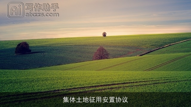 集体土地征用安置协议