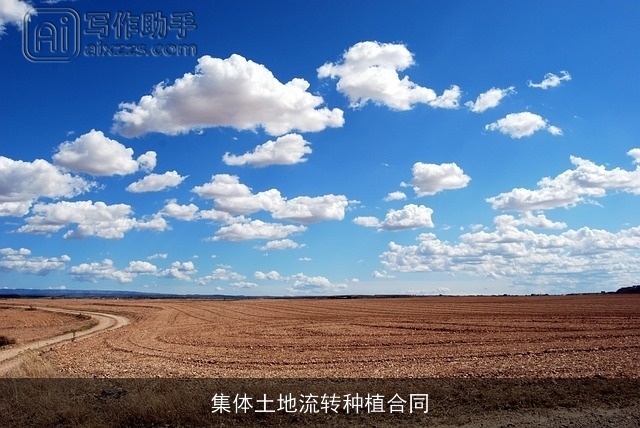 集体土地流转种植合同