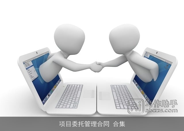 项目委托管理合同 合集