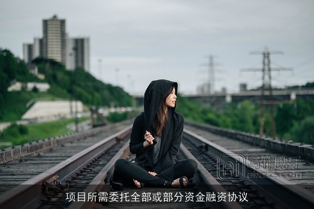 项目所需委托全部或部分资金融资协议