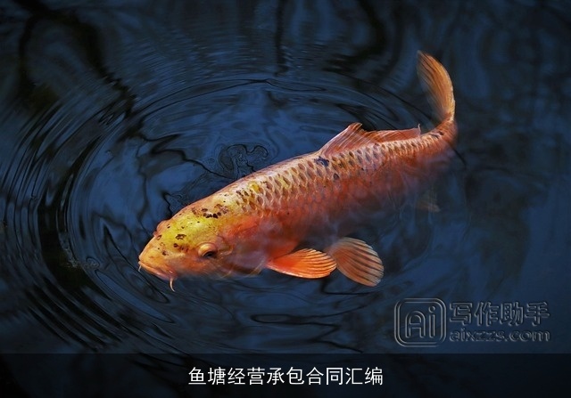 鱼塘经营承包合同汇编