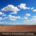 2025农村土地承包经营权转让合同范本