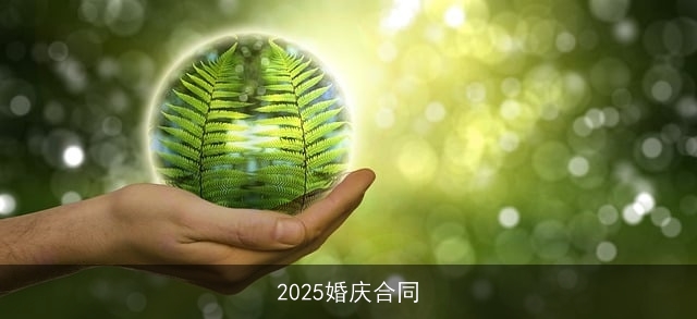 2025婚庆合同