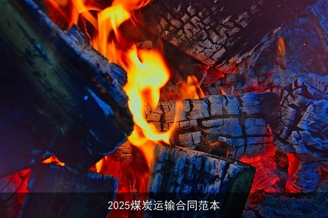 2025煤炭运输合同范本