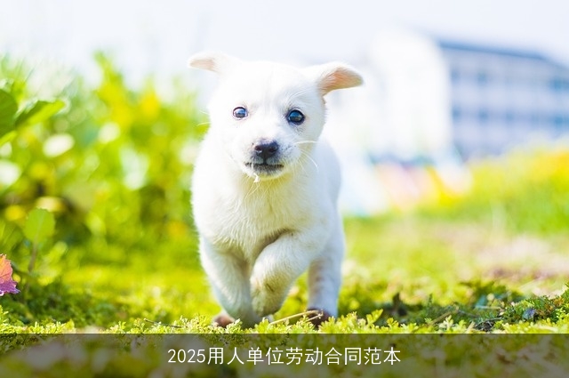 2025用人单位劳动合同范本