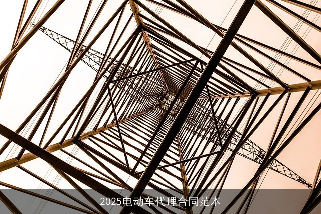 2025电动车代理合同范本