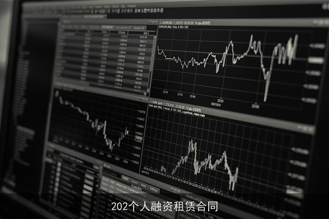 202个人融资租赁合同