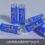 aa制再婚夫妻的财产协议书