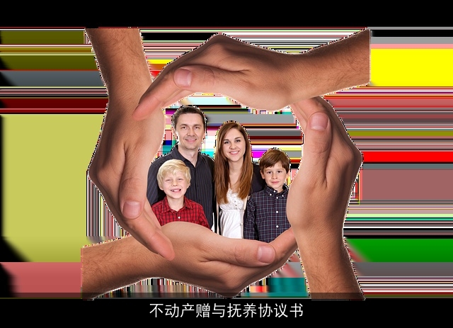 不动产赠与抚养协议书