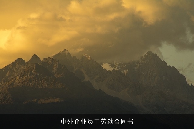 中外企业员工劳动合同书