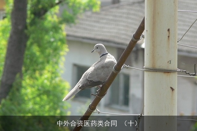 中外合资医药类合同 （十）