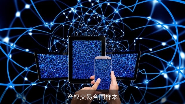 产权交易合同样本